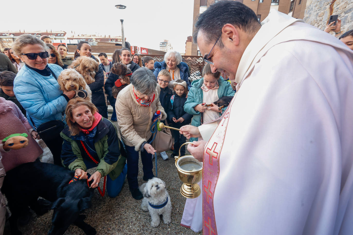 Bendición de mascotas en Gijón por San Antón