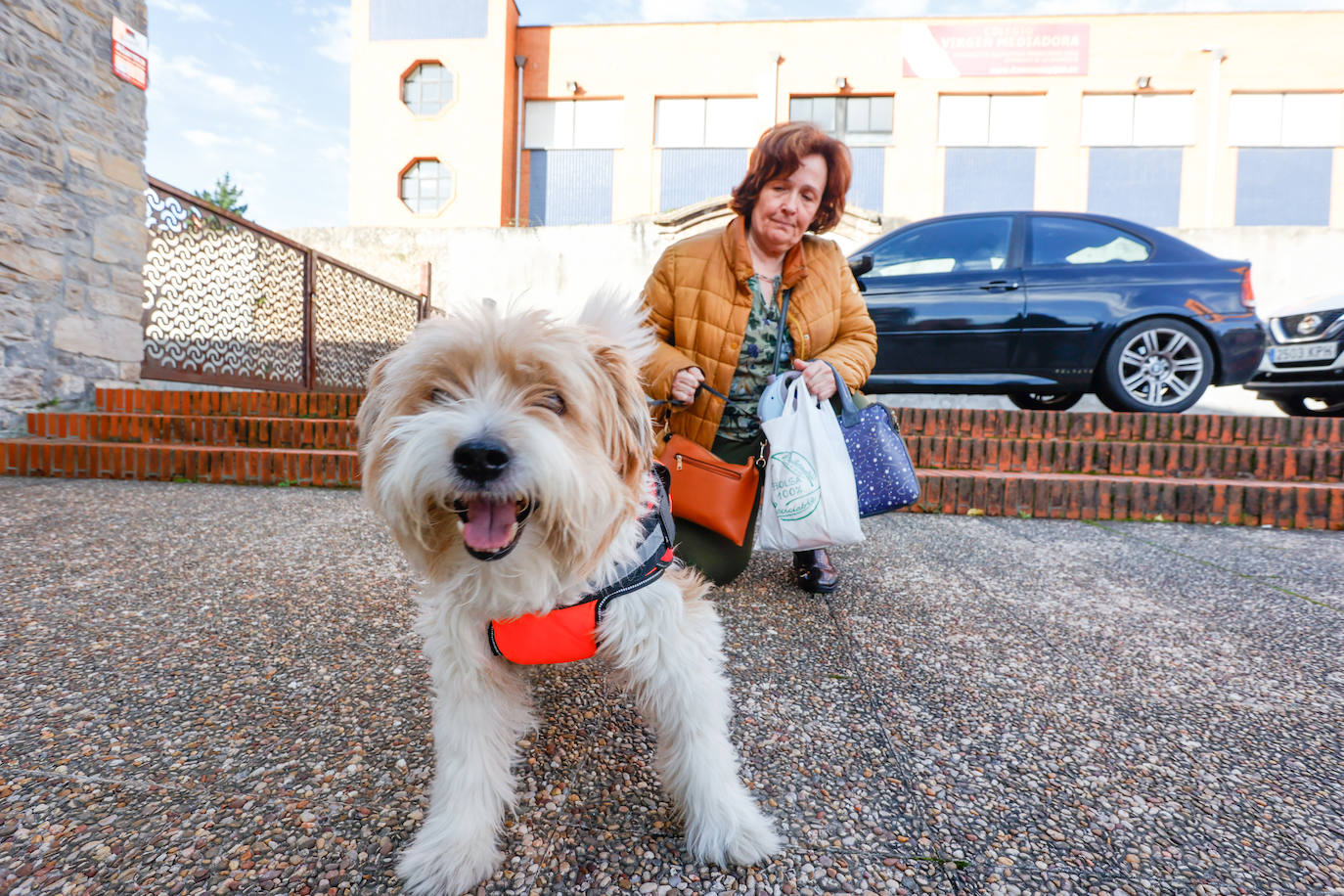 Bendición de mascotas en Gijón por San Antón