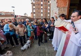 Bendición de mascotas en Gijón por San Antón