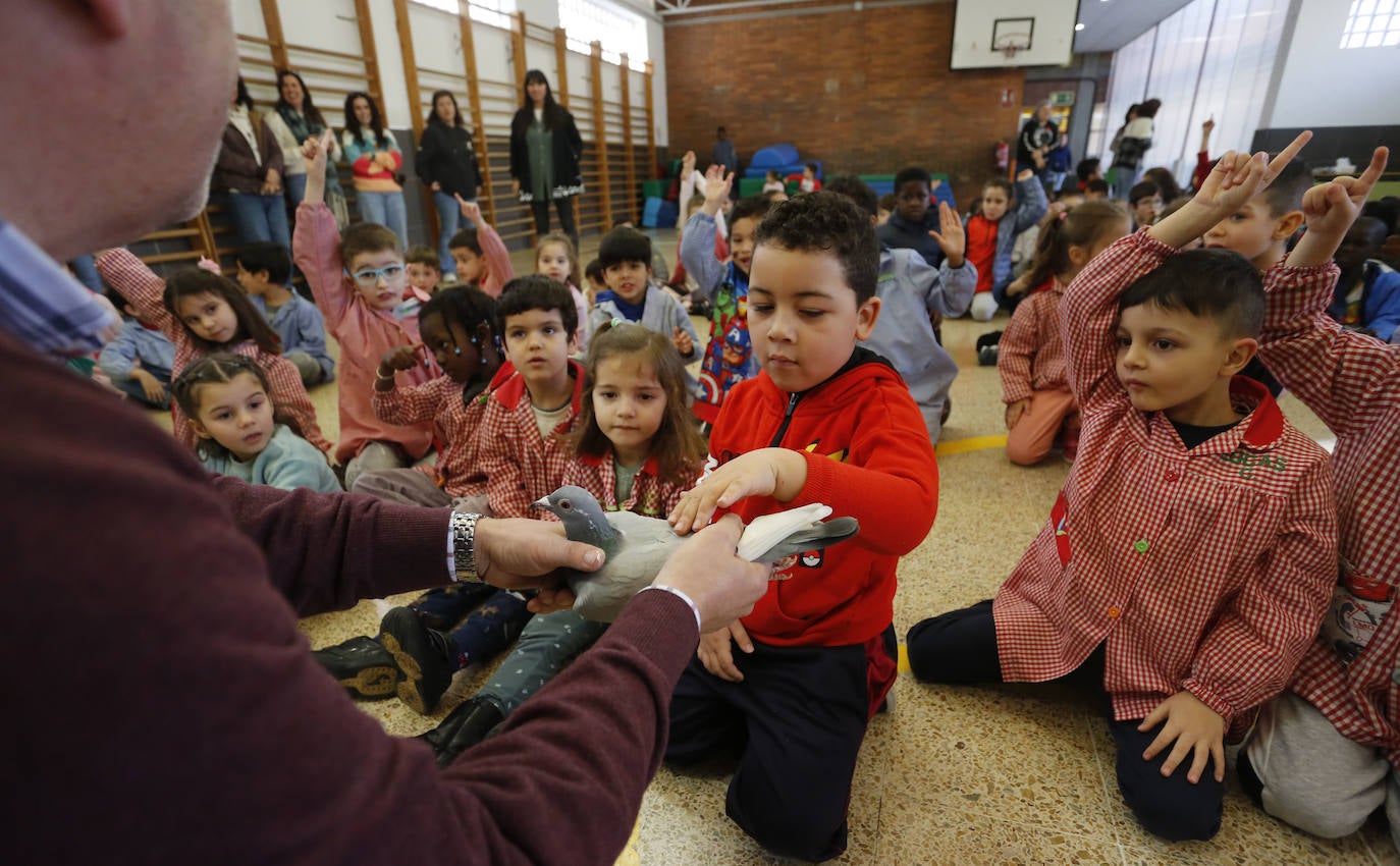 Así celebraron los colegios de Gijón el Día de la Paz