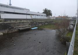 Tramo del río Piles que une La Guía y Viesques con una importante muestra de ánades reales, también conocidos como coríus.