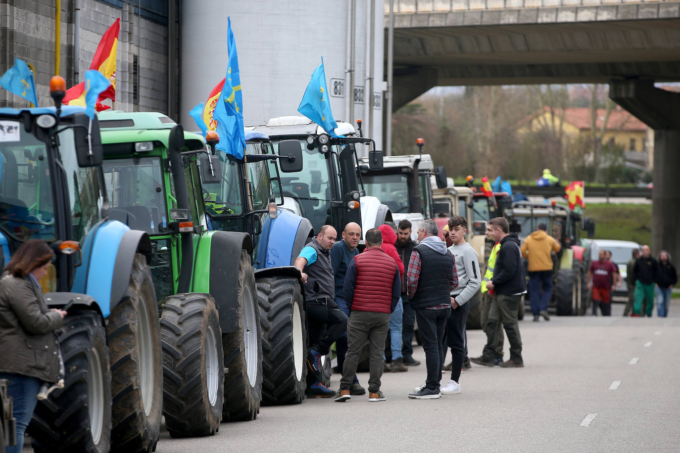 Tractorada en Asturias: las imágenes que deja la protesta del campo asturiano