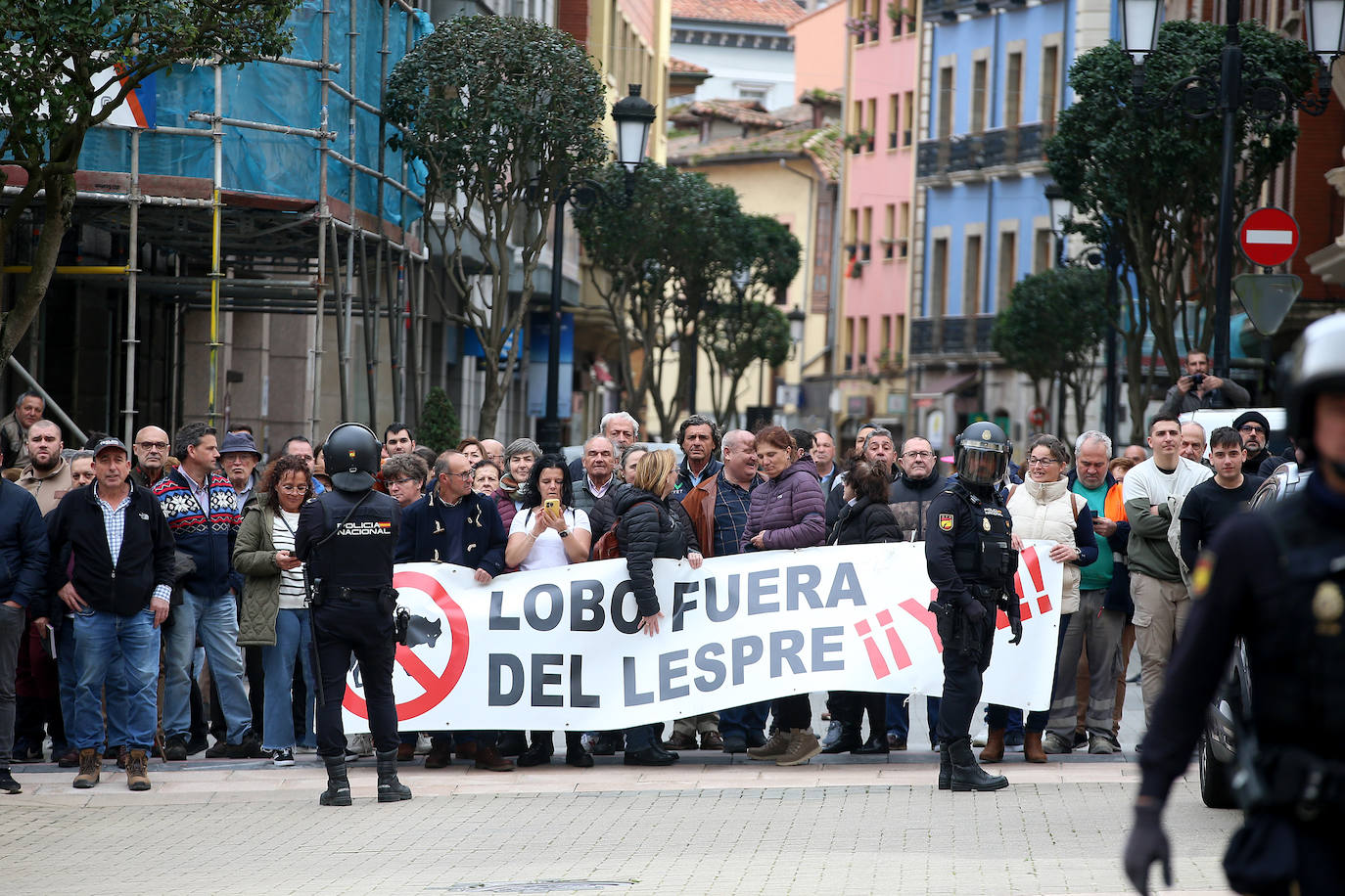 Tractorada en Asturias: las imágenes que deja la protesta del campo asturiano