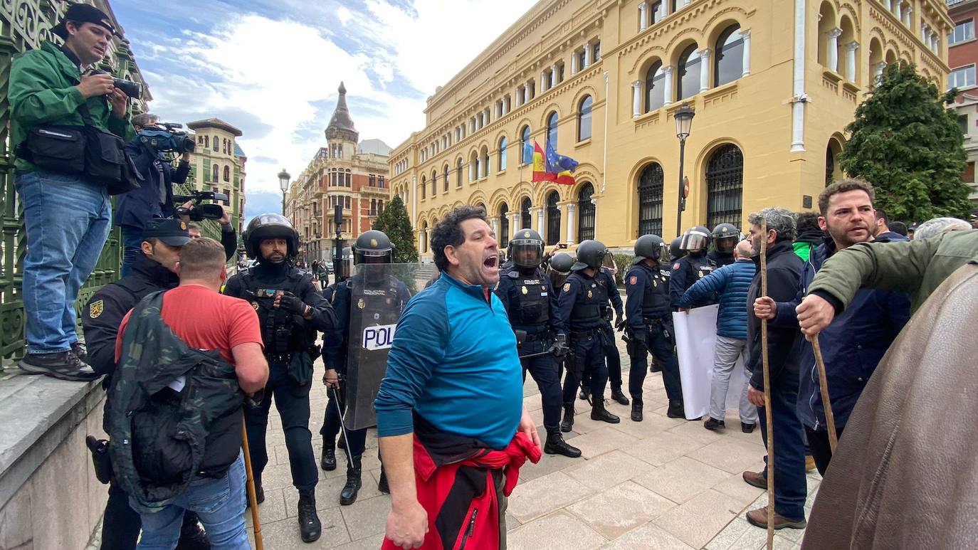 Tractorada en Asturias: las imágenes que deja la protesta del campo asturiano