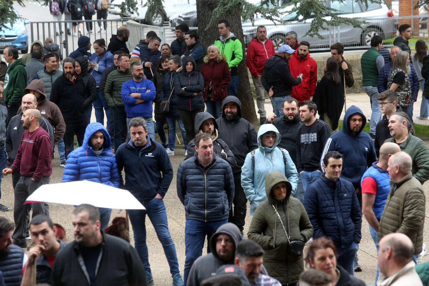 Así ha sido la tractorada en Oviedo de este viernes