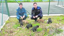 La Policía Local y el Seprona han colaborado en la búsqueda.