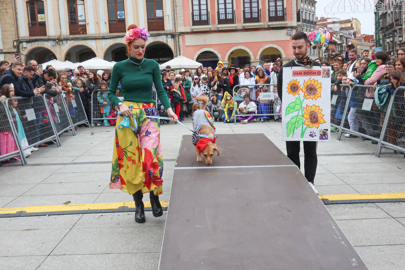 Las mascotas se disfrazan en Avilés