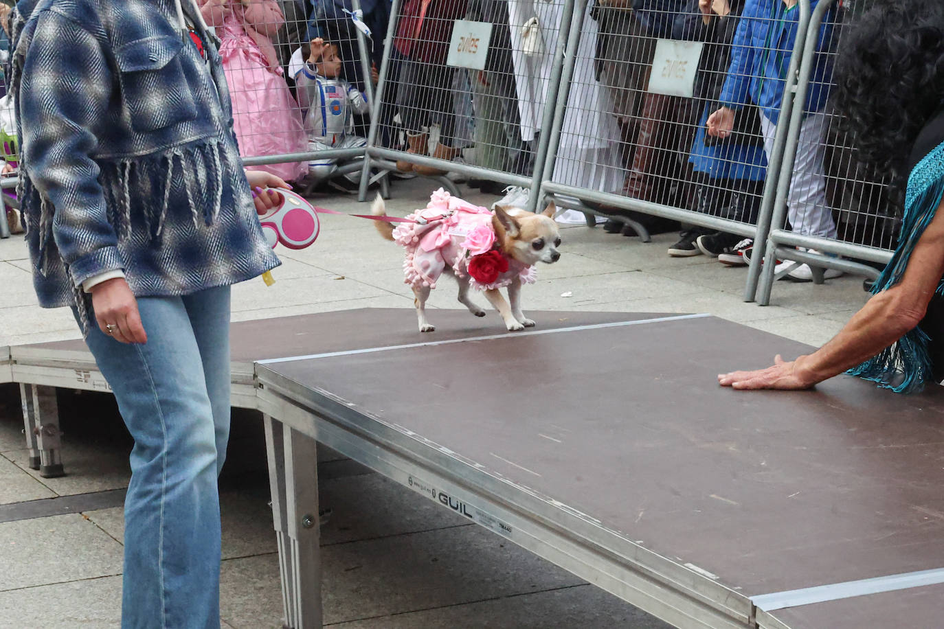 Las mascotas se disfrazan en Avilés