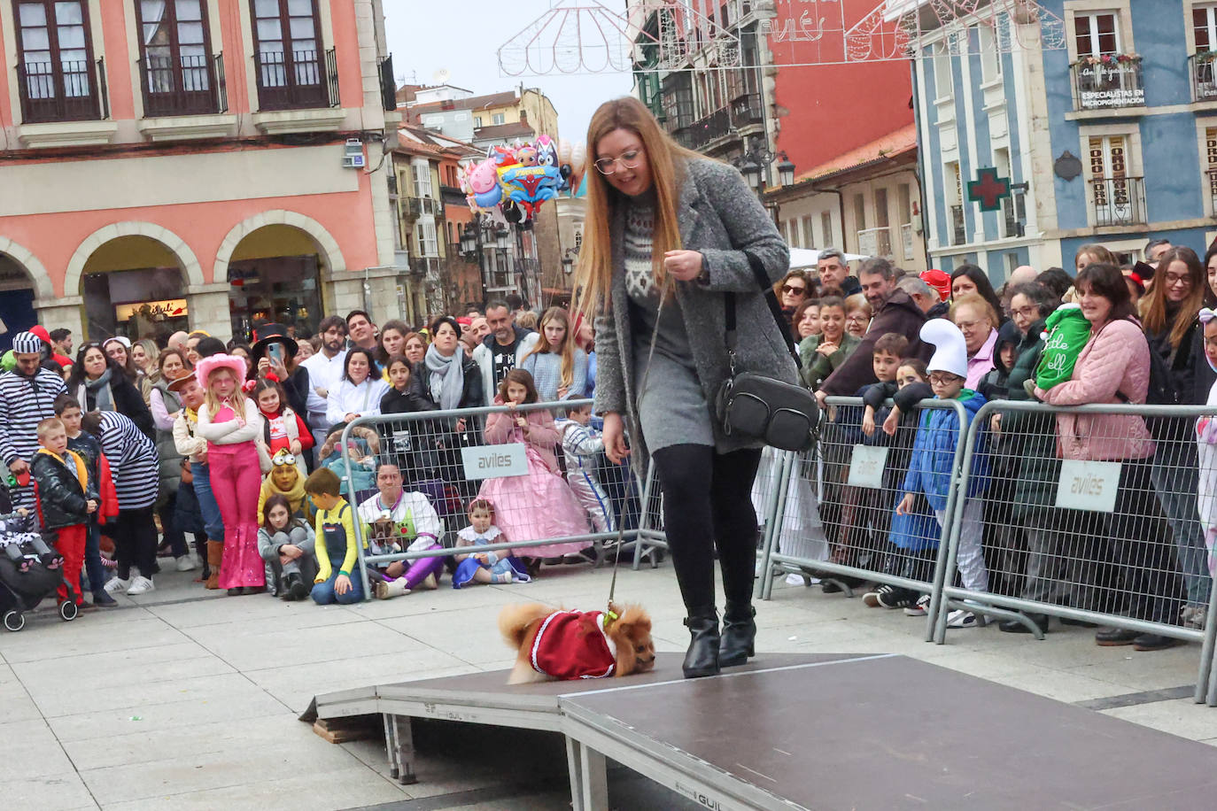 Las mascotas se disfrazan en Avilés