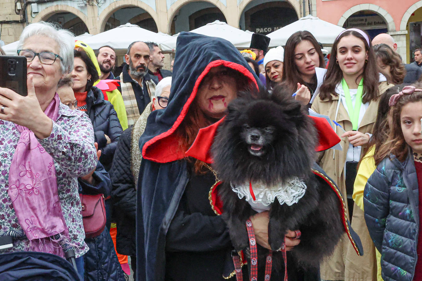 Las mascotas se disfrazan en Avilés