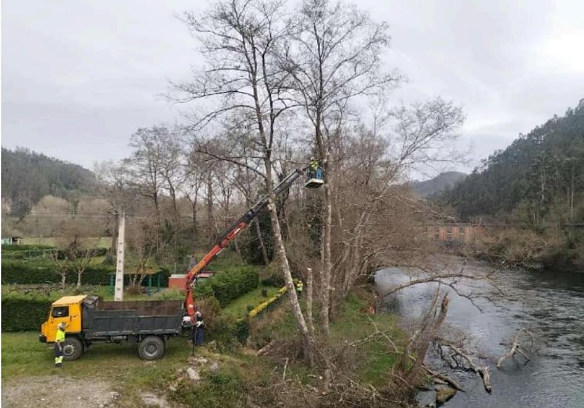 Se retiraron los árboles caídos al río y los que estaban en riesgo de hacerlo para evitar tapones.