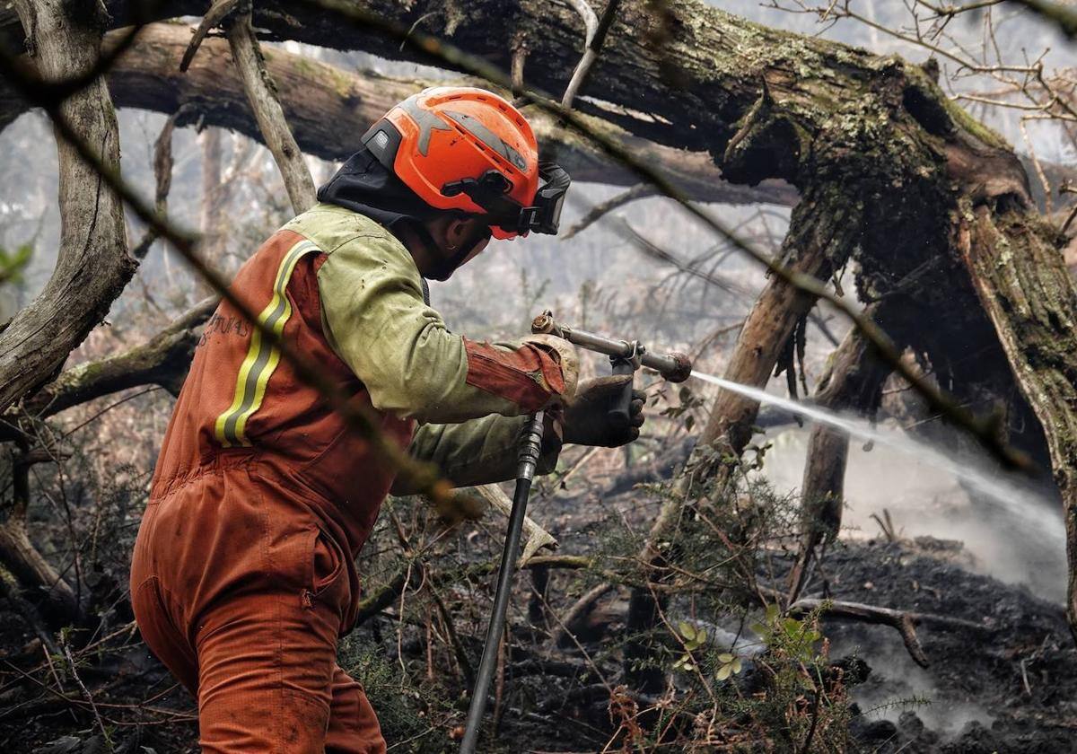 Bomberos de Asturias trabajan en las labores de extinción en un incendio forestal.