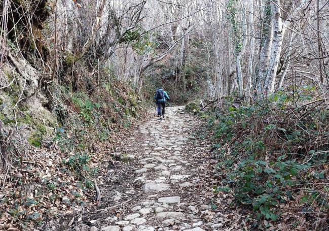 Camino empedrado por el valle de los Tornos