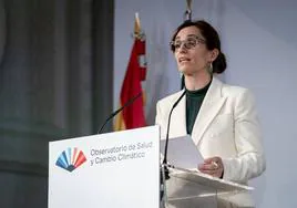La ministra de Sanidad, Mónica García.