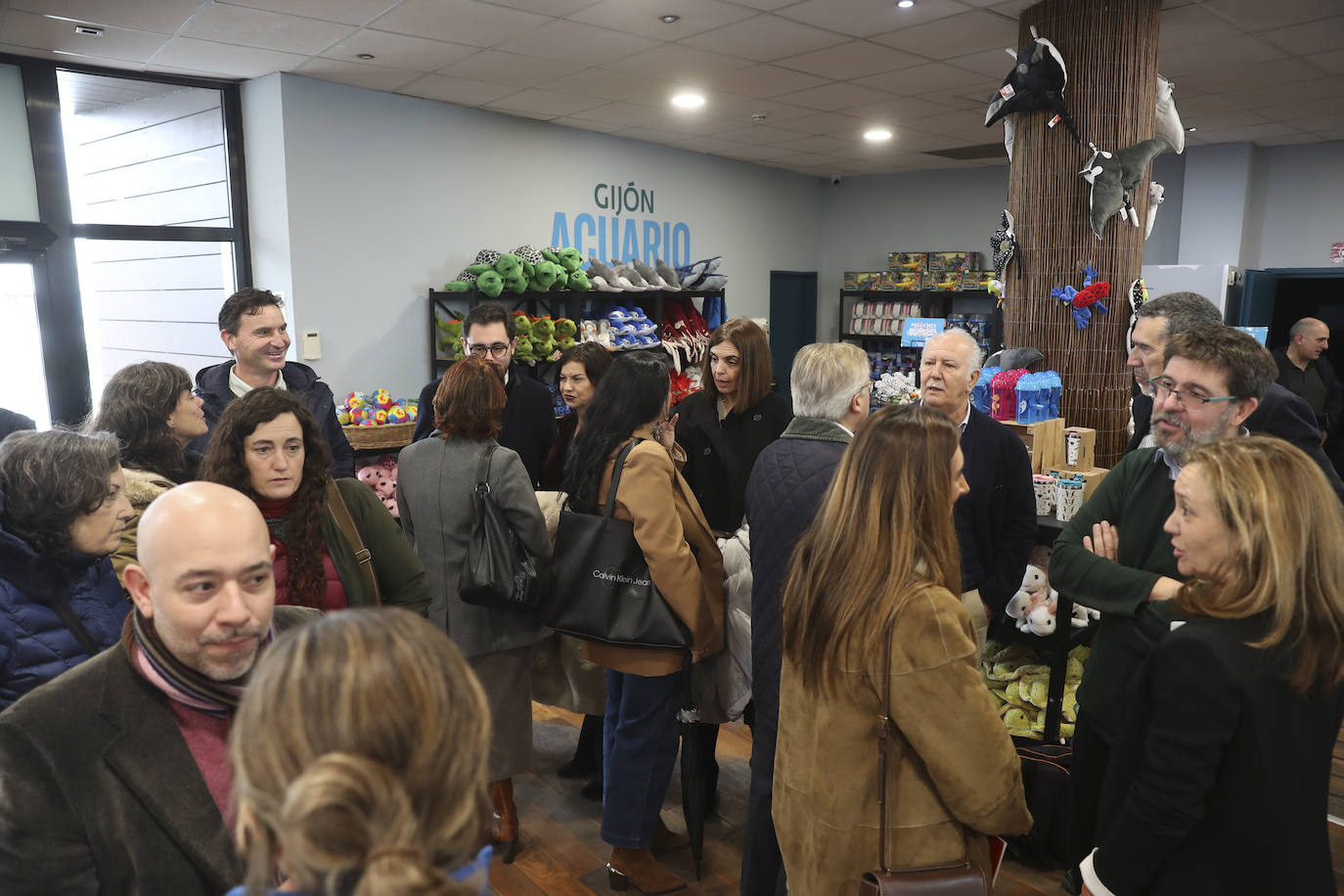 Así es &#039;Tiburones&#039;, la nueva exposición del Acuario de Gijón