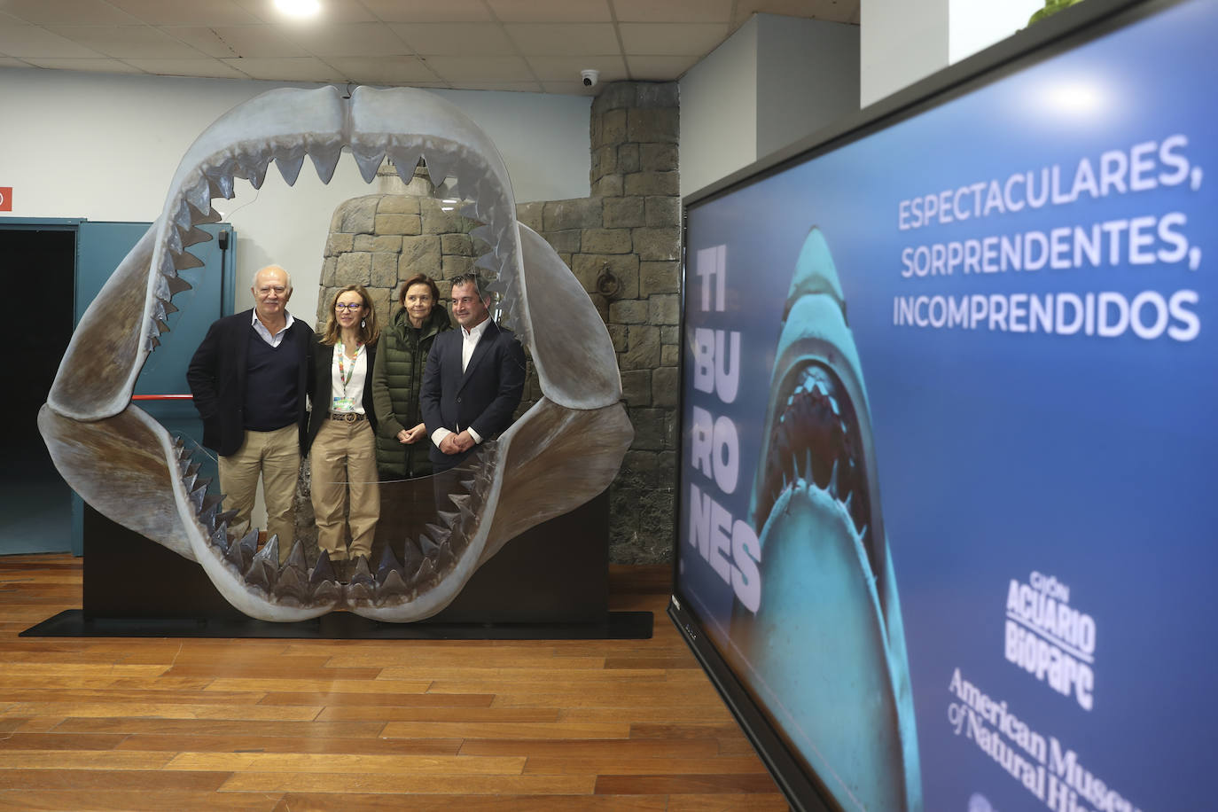 Así es &#039;Tiburones&#039;, la nueva exposición del Acuario de Gijón