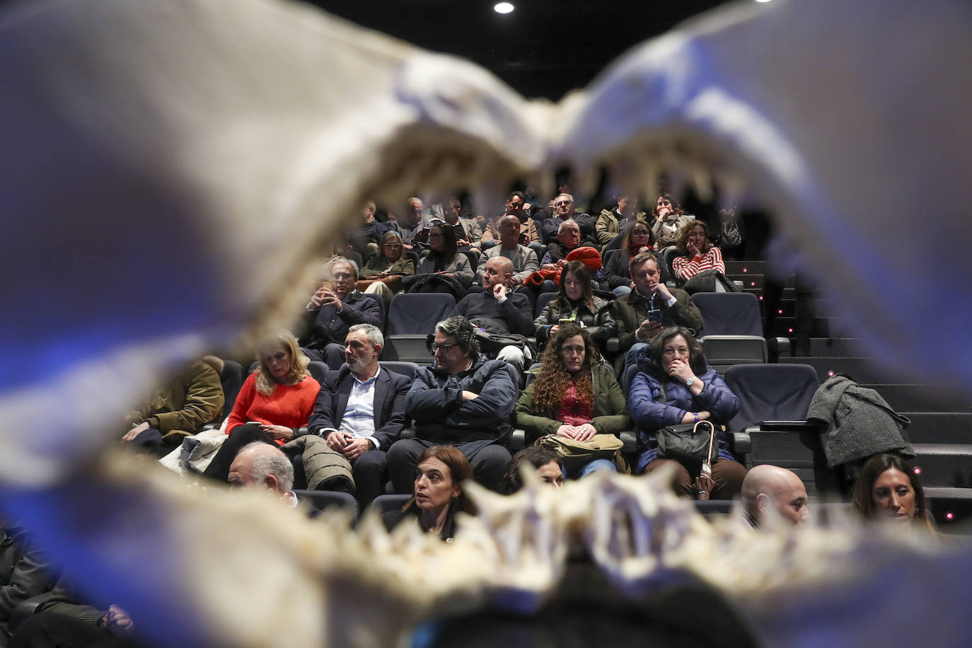 Así es &#039;Tiburones&#039;, la nueva exposición del Acuario de Gijón