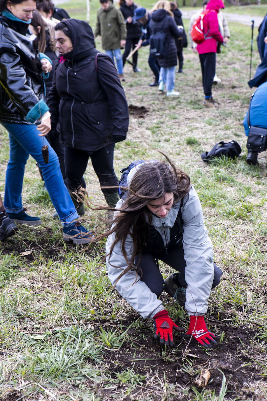 2.000 árboles para reforestar el Naranco tras el incendio