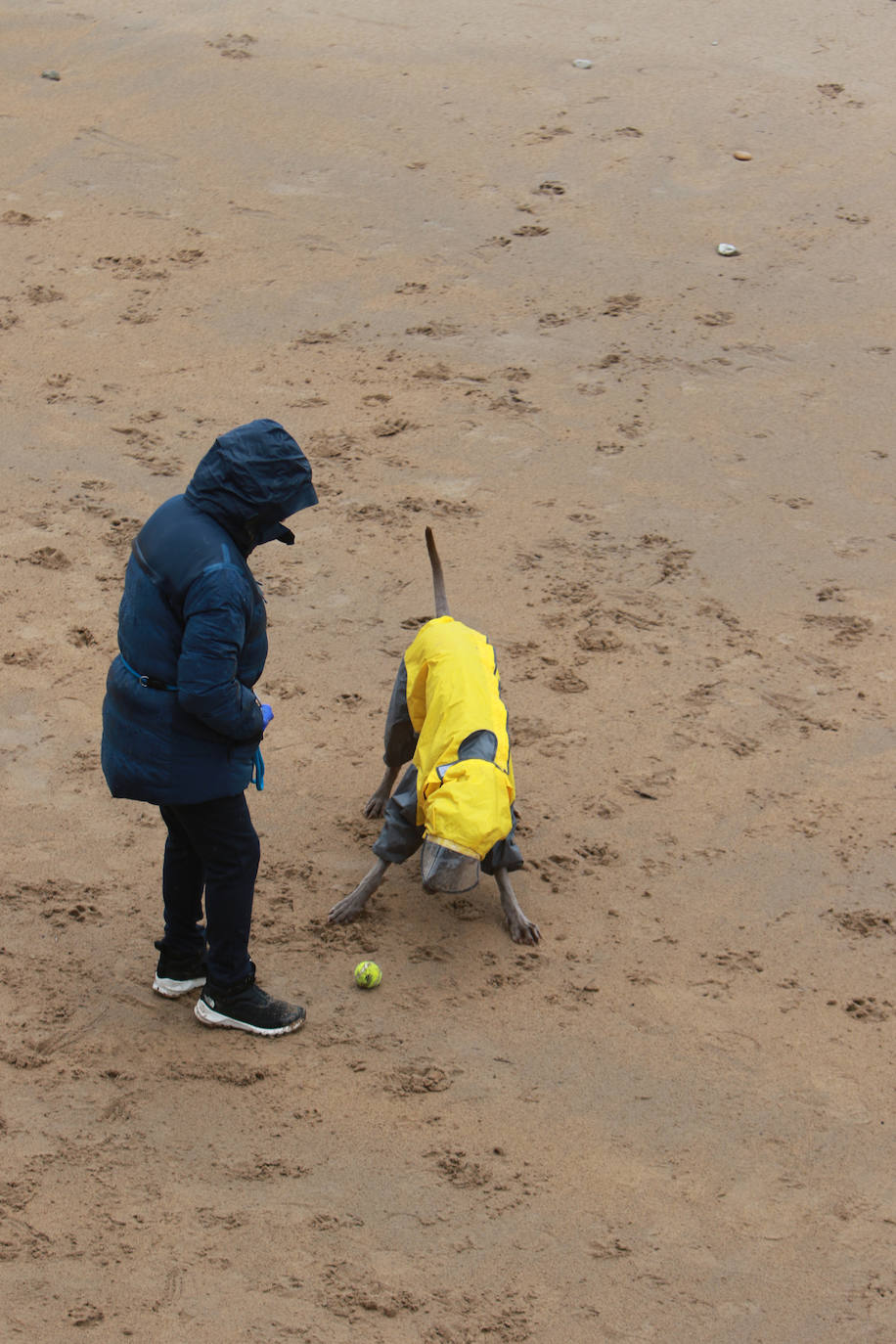 Lluvia, frío y nieve: las imágenes que deja el temporal en Asturias este sábado