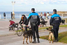 Dos agentes de la Policía Local de Gijón patrullan por la zona del Tostaderu con dos perros de la Unidad Canina.