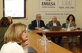 Consejo de administración de Emulsa.