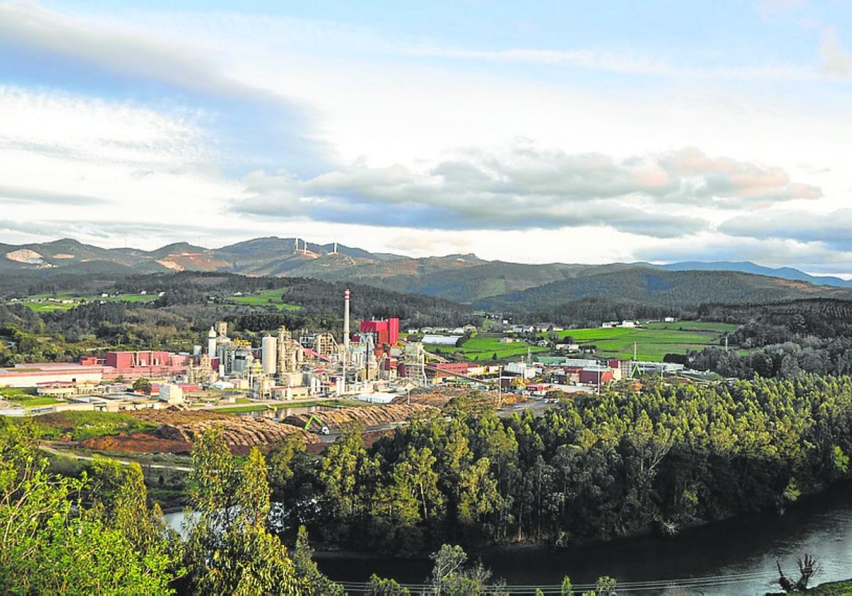 La biofábrica de Ence en Navia.