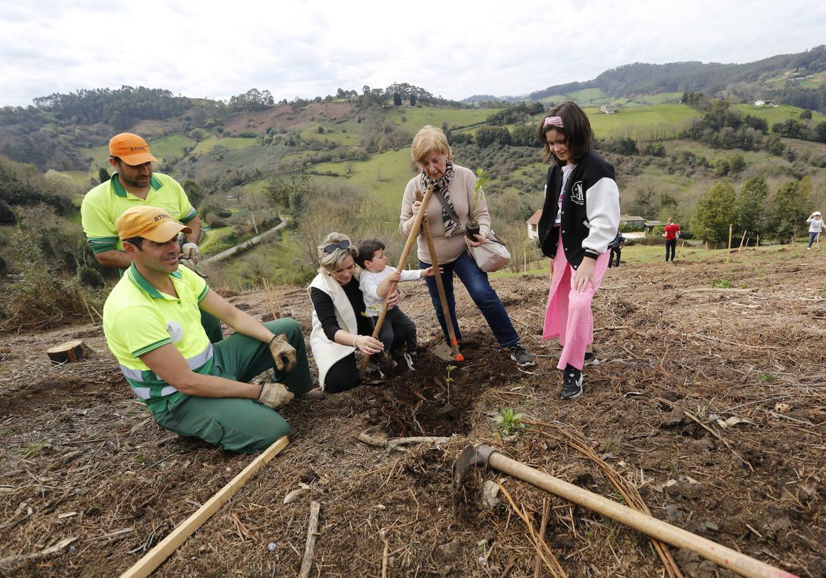 430 nuevos árboles para reforestar La Pedrera