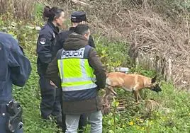 Los agentes, ayudados de perros especializados, peinaron la zona de La Felguera en busca de los restos del cadáver de la víctima.