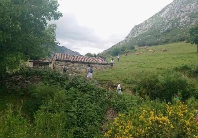 El quesu Casin, la forma en la que se elabora y su caracteristico sabor estarán muy presentes en este campamento para familias