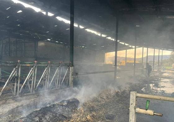Interior de la ganadería, en Valdés, donde se declaró el incendio que fue extinguido esta mañana por los bomberos.