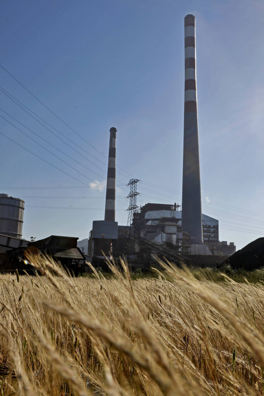 La térmica abordará el año que viene su gran transformación, con el abandono del carbón, su conversión a gas y la llegada del hidrógeno.