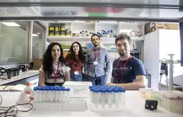 Judit Bestilleiro, Carmen Arroyo, Gonzalo Sánchez-Duffhues y Daniel Rubiera, en el laboratorio.