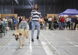 Espacio Mascotas en Gijón