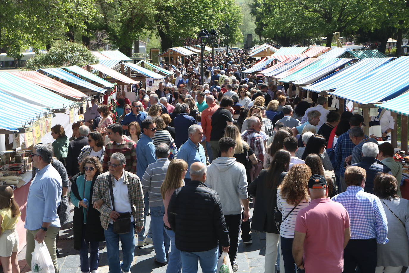 La primavera se lleva a la mesa