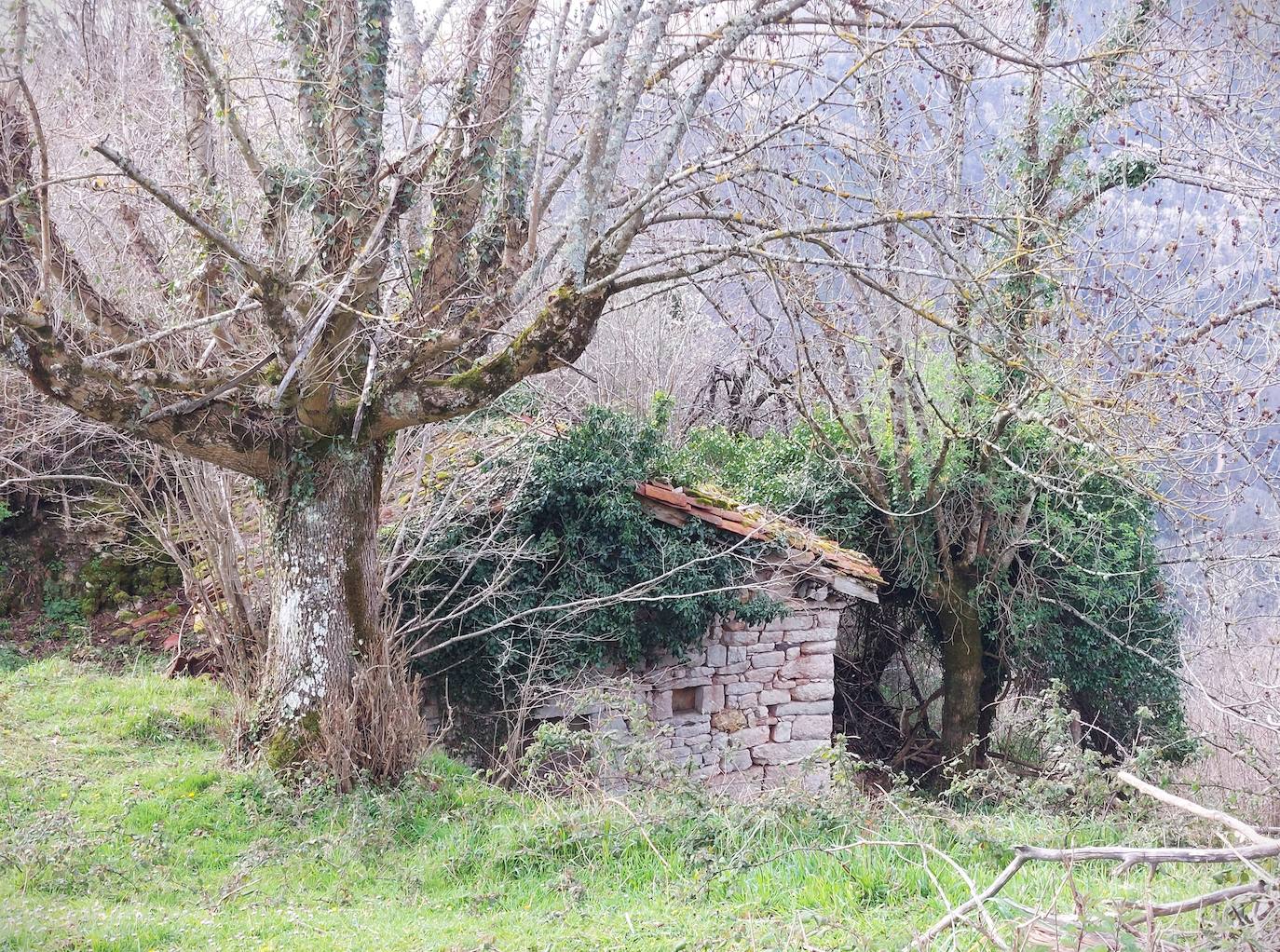 Imagen secundaria 1 - Cuesta Bergola/Braña Chendeneva/ Collada Quitaneiru