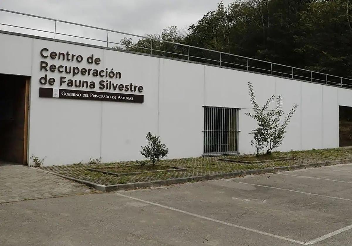 El centro de recuperación de la fauna silvestre, en Sobrescobio.