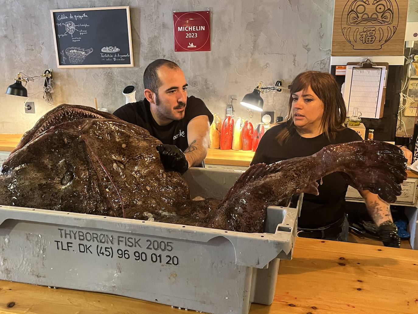 Así es el espectacular pixín de 55 kilos que se podrá degustar en Gijón