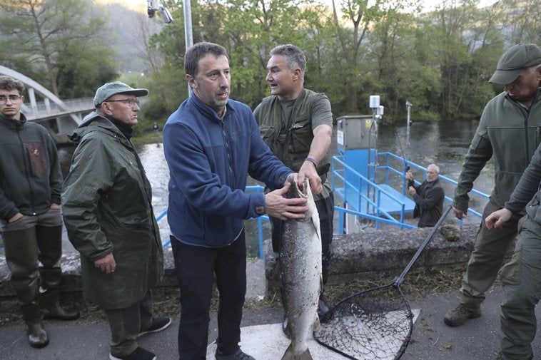 El campanu de Asturias, ya en tierra, en manos de su captor.