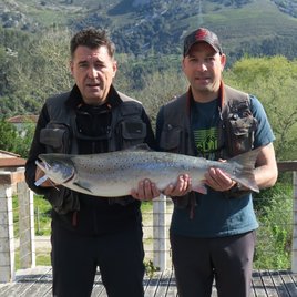 El campanu del Cares salió a media mañana.