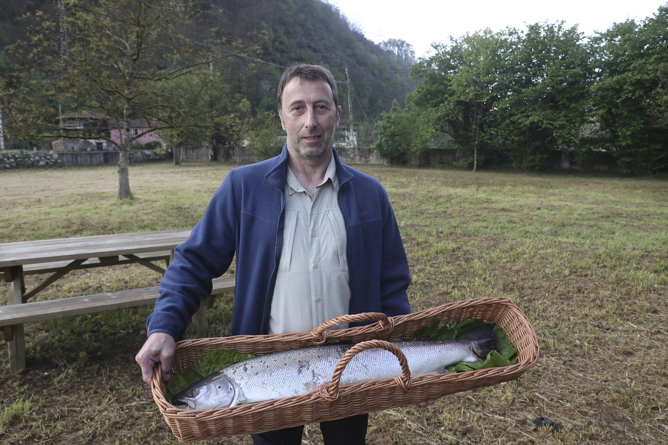 El campanu de Asturias sale en el río Narcea