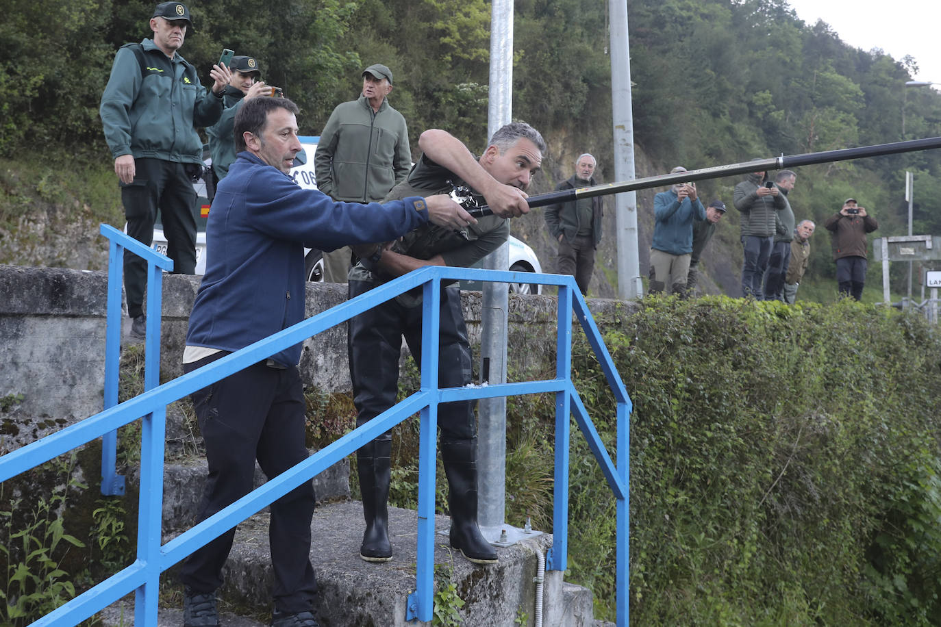 El campanu de Asturias sale en el río Narcea