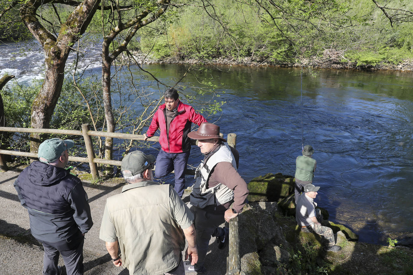 El campanu de Asturias sale en el río Narcea