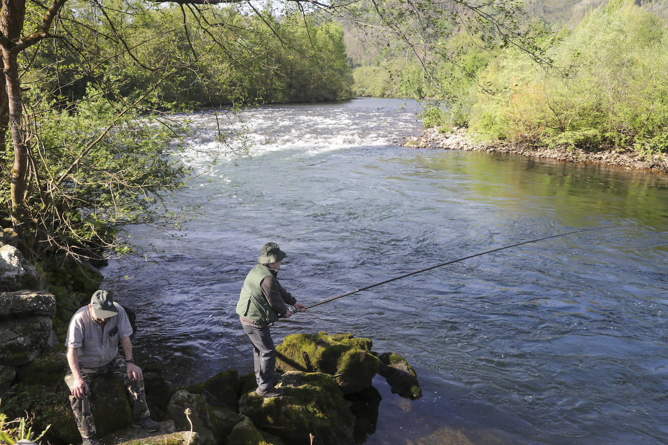 El campanu de Asturias sale en el río Narcea