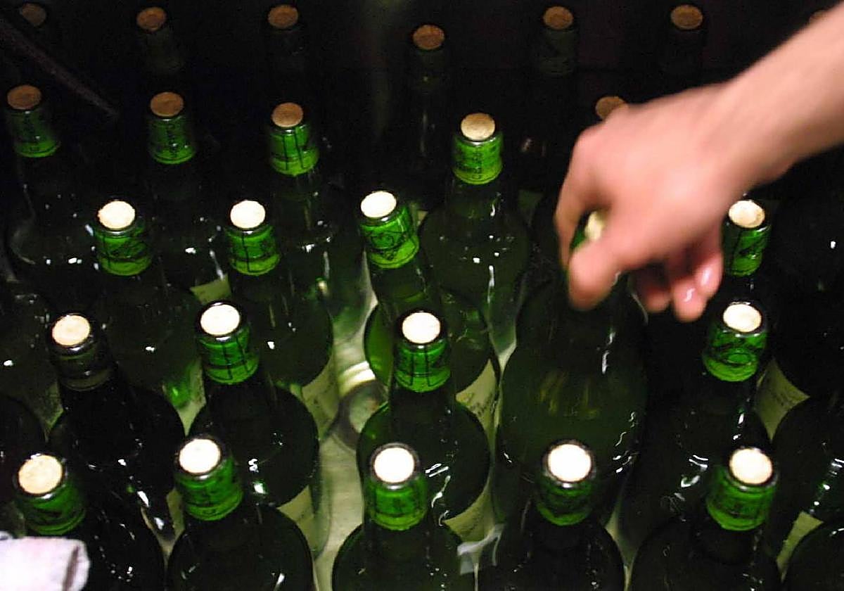 Botellas de sidra enfriando.