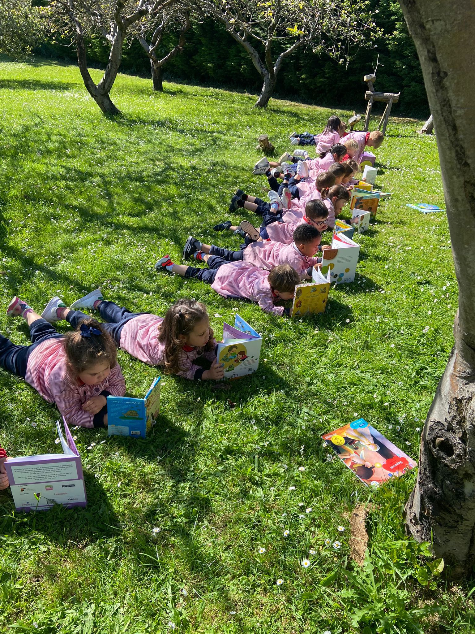 Bibliotecas, calles y escuelas: así celebró Asturias el Día del Libro