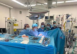 El equipo del Servicio de Cirugía Cardíaca del HUCA durante una de las intervenciones que se han llevado a cabo en el hospital para implantar las nuevas válvulas aórticas.