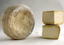 El queso Mamá Marisa de la quesería Rey Silo, premiado en Salón Gourmets