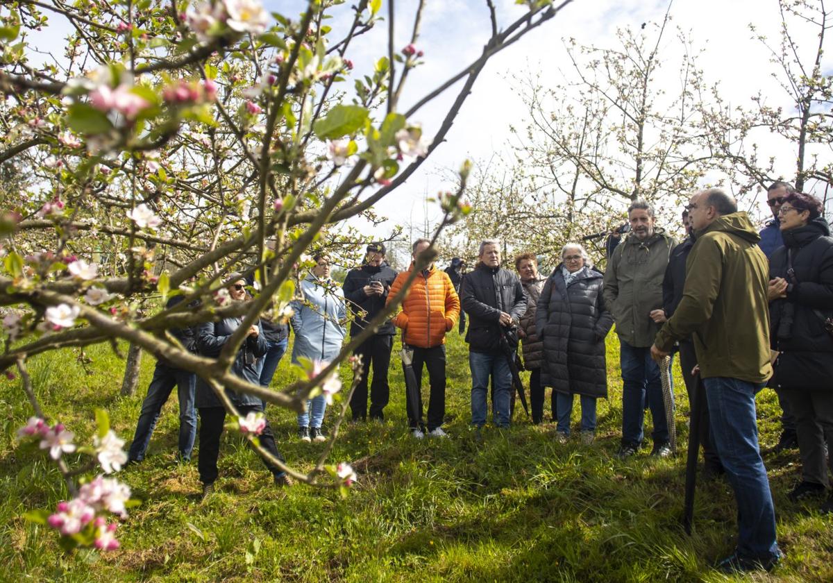 La floración del manzano, un recurso turístico en crecimiento