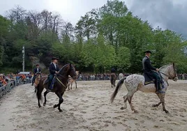 La majestuosidad de los caballos vence a la lluvia en en la Feria de Abril de Infiesto