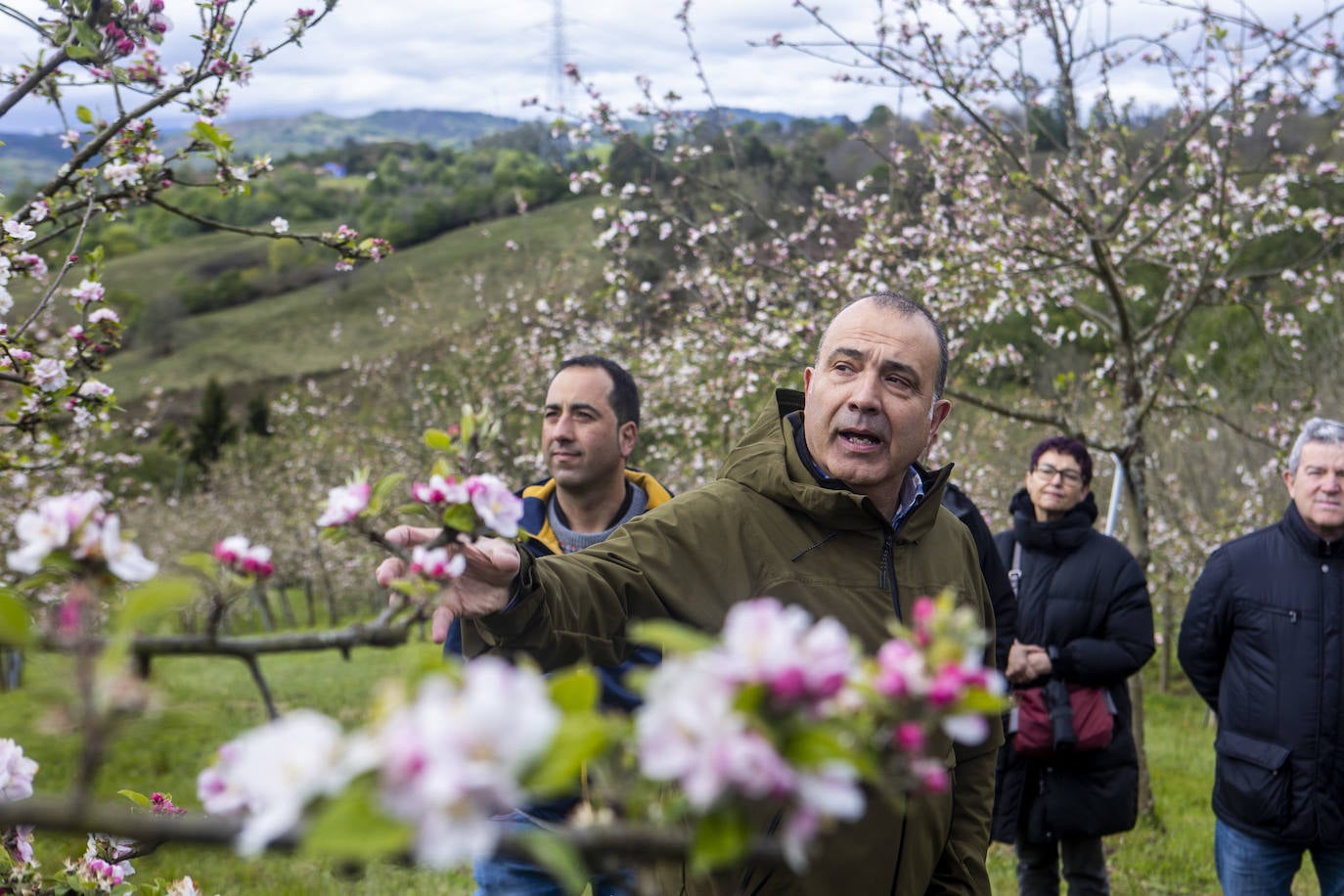 Un paseo entre los manzanos en flor de Asturias